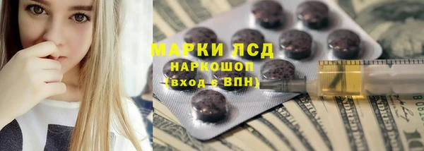 прущие грибы Карпинск