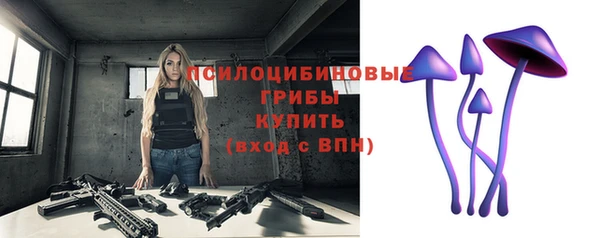 jwh Каменногорск