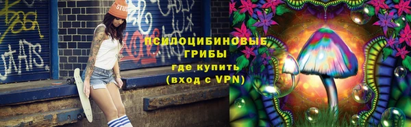 jwh Каменногорск