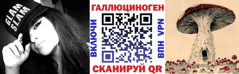Купить где Сальск Псилоцибиновые грибы мицелий